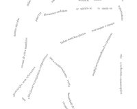 Catarina Real, Suppose That..., 2025 (1/1)